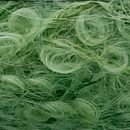 Boucle - #C066 - Verde Pasto - Boucle