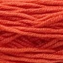 Caña de Azúcar - #C052 - Fuego - Caña