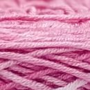 Caña de Azúcar - #C062 - Burdeo - Caña