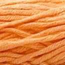 Caña de Azúcar - #C031 - Naranjo Medio - Caña