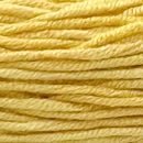 Caña de Azúcar - #C051 - Mostaza - Caña