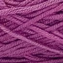 Caña de Azúcar - #C064 - Obispo - Caña