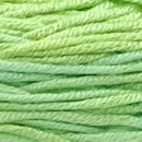 Caña de Azúcar - #C069 - Verde cata - Caña