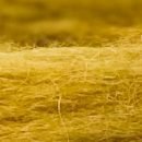 Guz - #C047 - Ocre - Guz